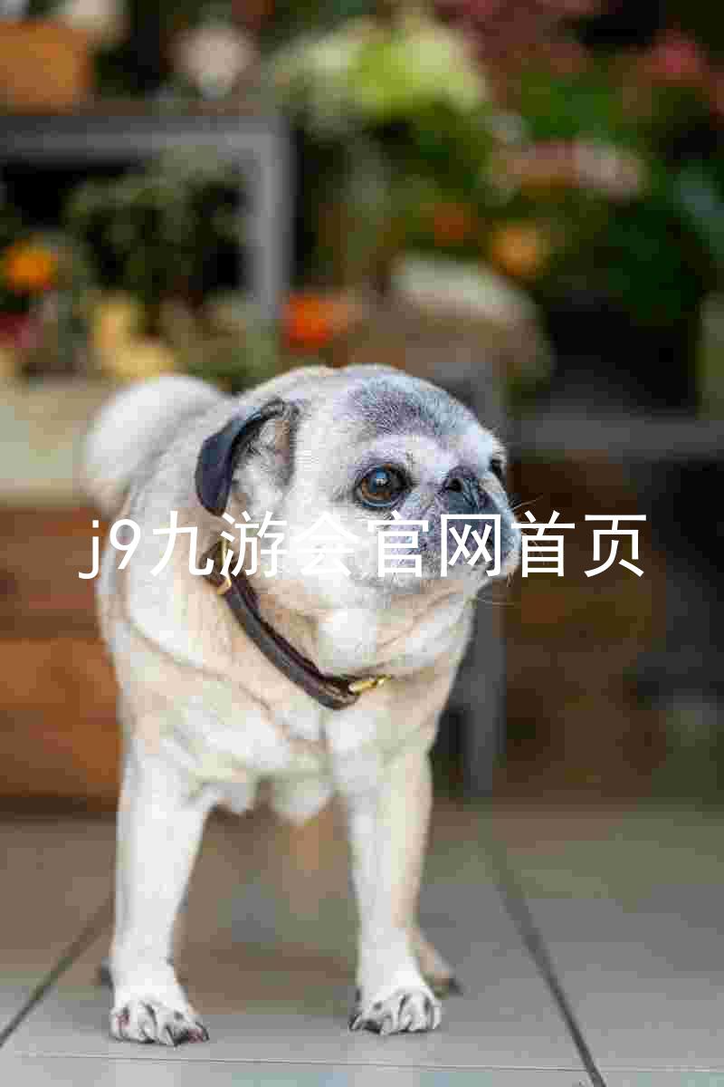 j9九游会官网首页